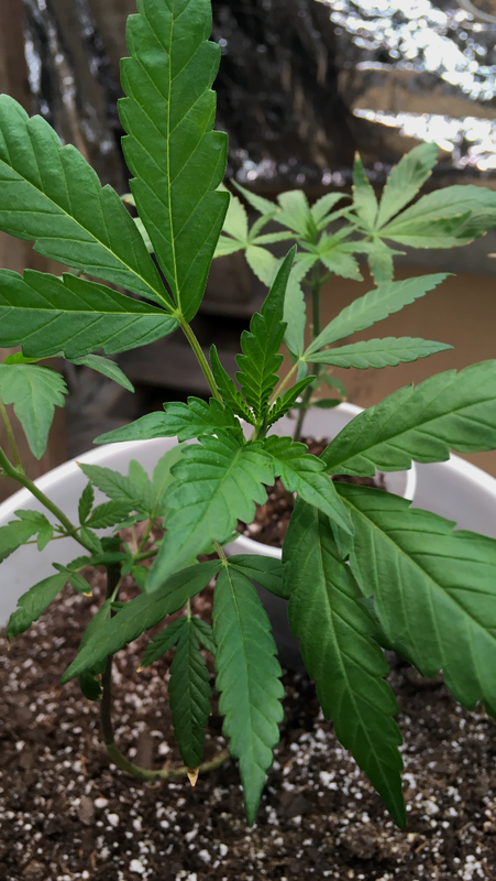 6F257277-B7AE-41F8-831A-08AE2D0C7367