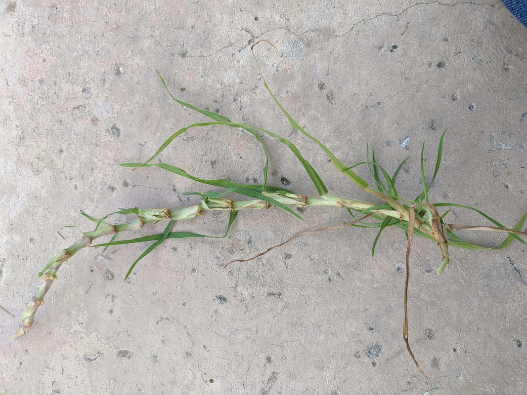 WhatsApp Image 2021-04-07 at 5.43.51 PM