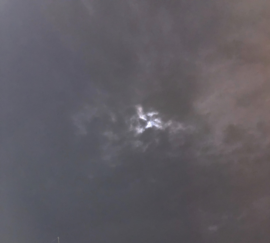 [Image: 308-ABC0-D-323-B-4-CB1-8-C97-53-BC056-D48-CF.jpg]