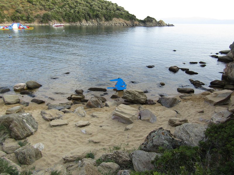 Slika