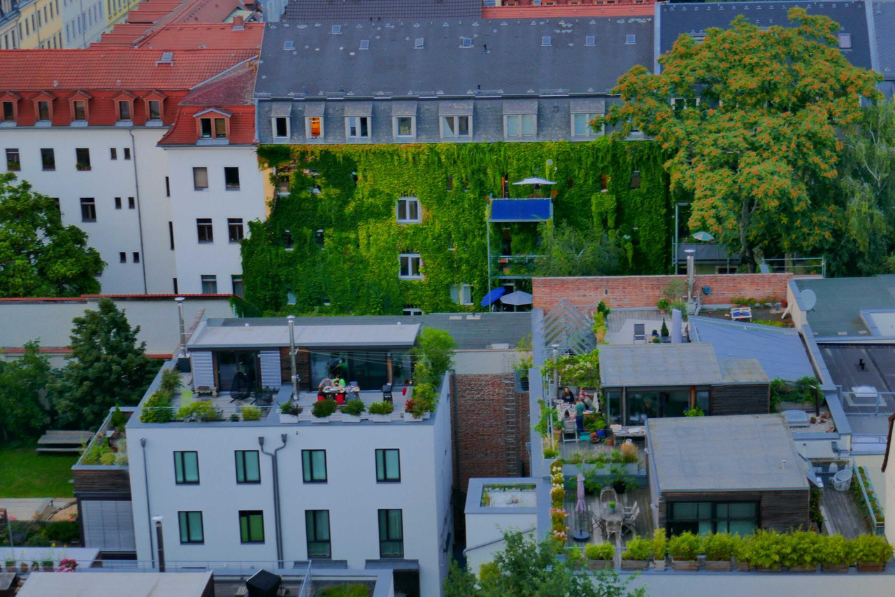 Bild: https://i.postimg.cc/gJMPrCBS/P1300013.jpg
