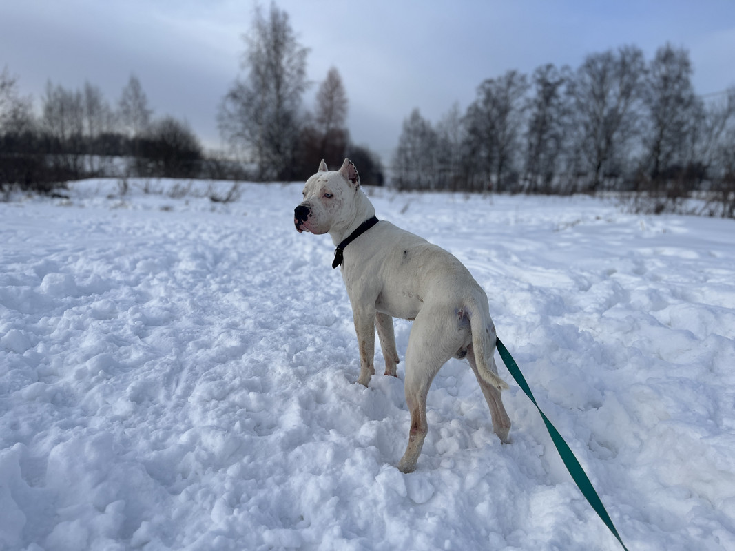 F0B037B6-2F36-4184-88F5-B9F0E80DD048