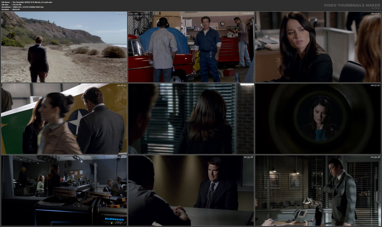 The Mentalist S05E07 If It Bleeds, It Leads.mkv