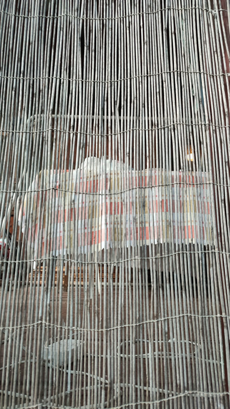 IMG_2023_07_08_20_40_18_8651448318745712572844