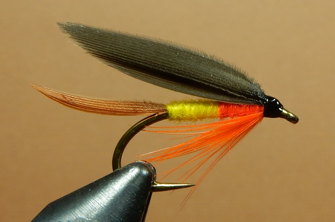 Roosevelt-1080.jpg