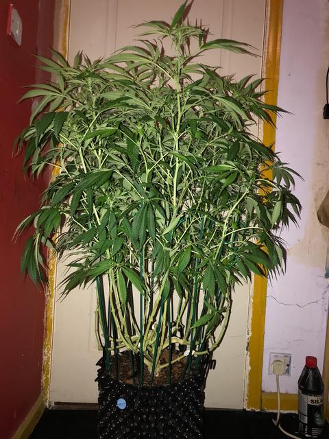 AA7227D4-E51C-40D7-9F48-86D654FA5ED3