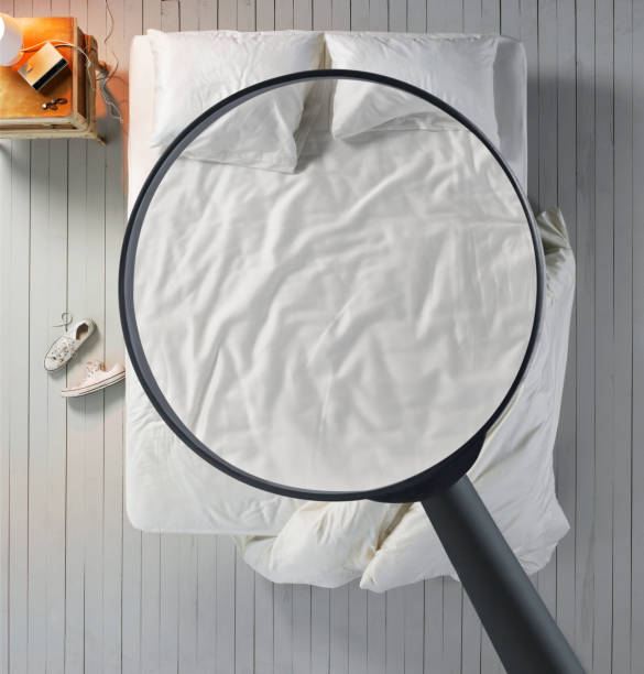 Orlando bed bug treatment