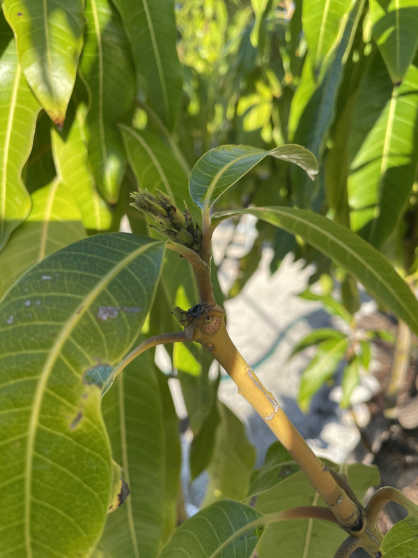 0DF305DB-C477-47EC-8A30-1E5F8A3A7341