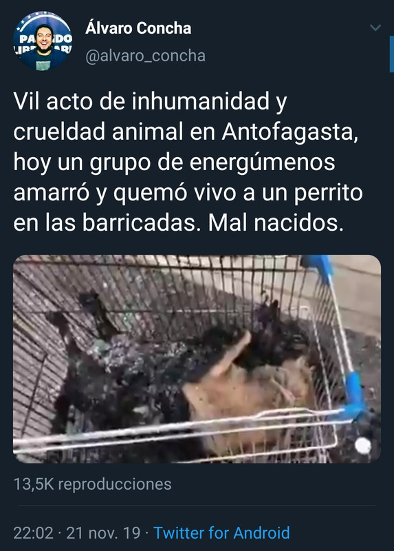 Screenshot_20191121_223625_com.twitter.android