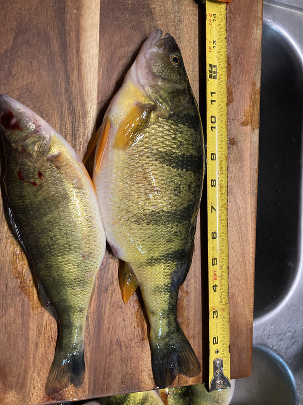 F84A8AA5-453B-4163-BCA8-C454307C476D