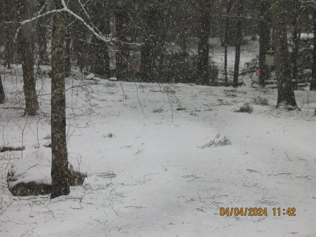 IMG-7722.jpg