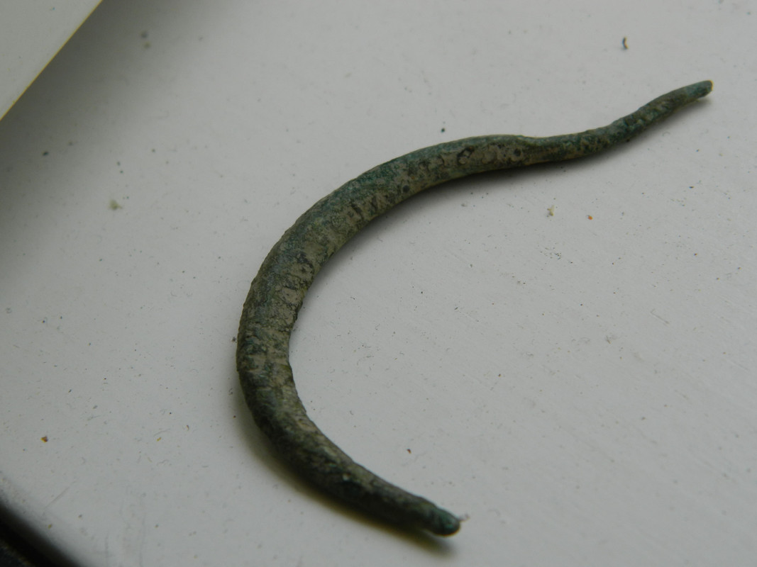 hevoskenkäkupura 045