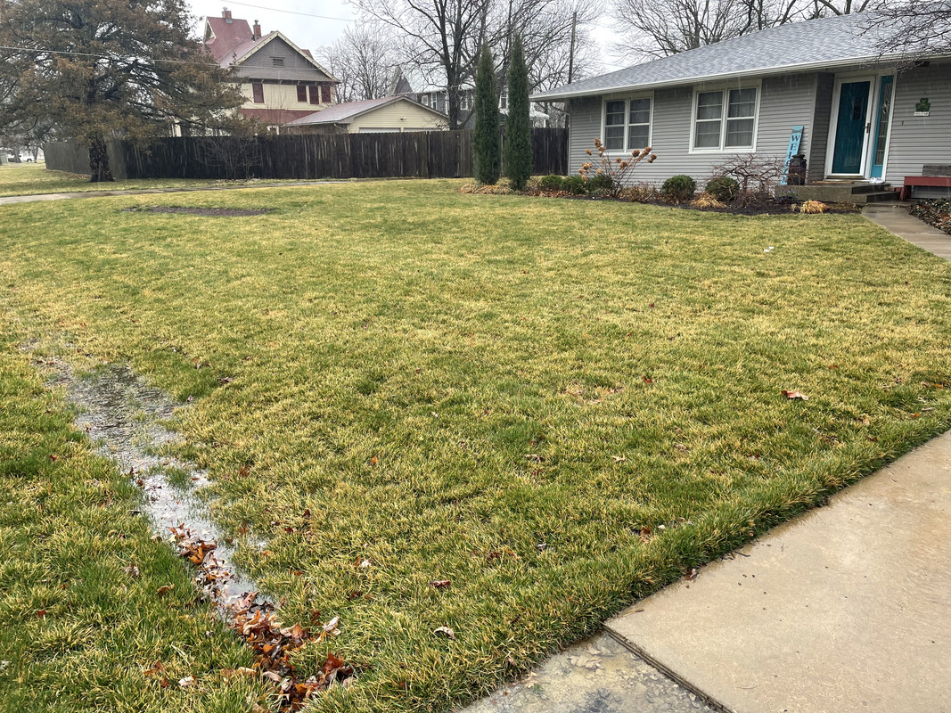 7182DD29-18E9-4B85-8A88-C986681AD656