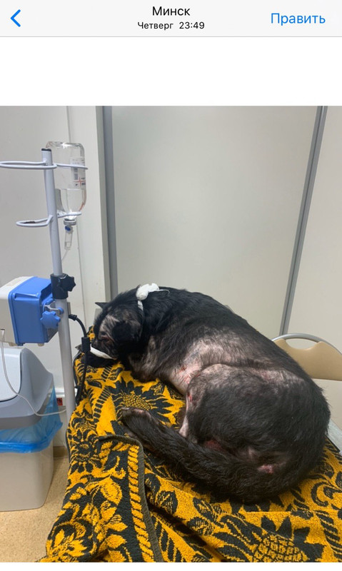 1C194617-BC8E-4B96-8CEB-A21C191808E0