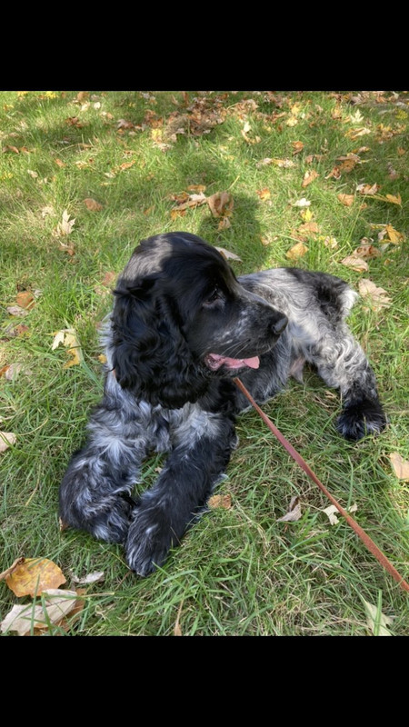 IMG-22eb377bcd0af581d4abe380646d9450-V