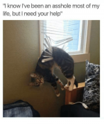 379495-2fc9f350f96645dd95e73cd541ba2597