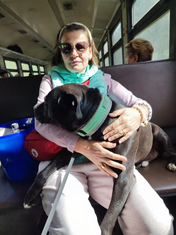 4723033F-721D-4A3A-A161-F4092F51FCEF