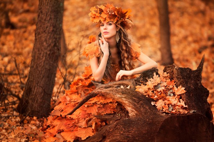 An den Beitrag angehängtes Bild: https://i.postimg.cc/gJPrgx9X/9083-Queen-of-Autumn-season-wonderful-dress-made-from-leaves.jpg