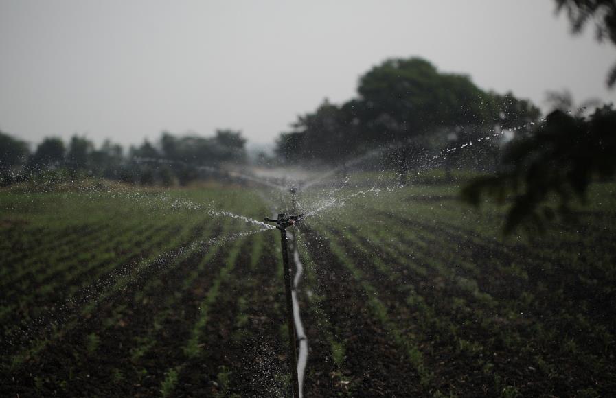 Agricultura - ¿Cómo mantener un jardín en perfecto estado durante todo el año? Sistema-de-riego