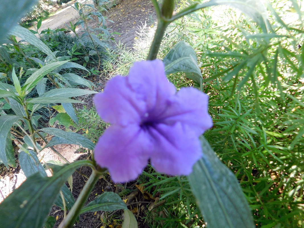 DSCN5662.jpg