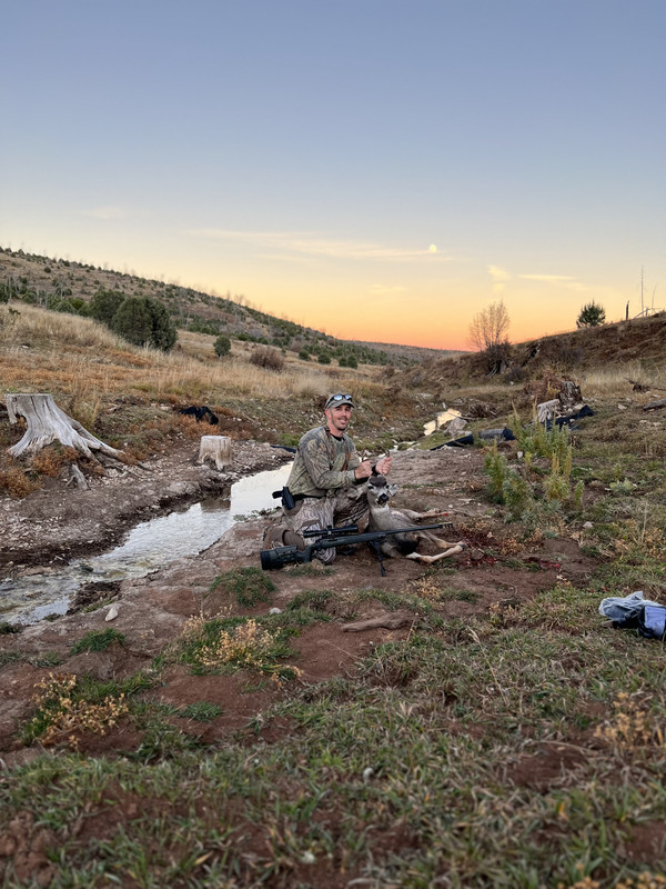 8F432C96-FC7B-4B3C-9ACF-818B1082DDC8