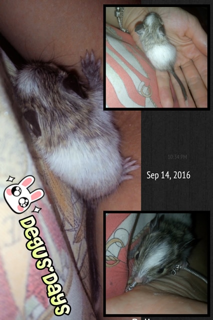 img1473881897621