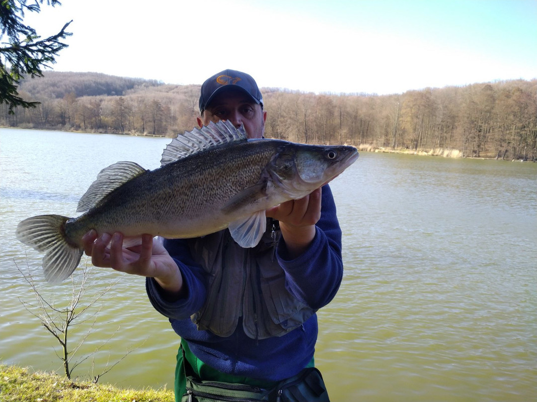 IMG_20220218_142512-1