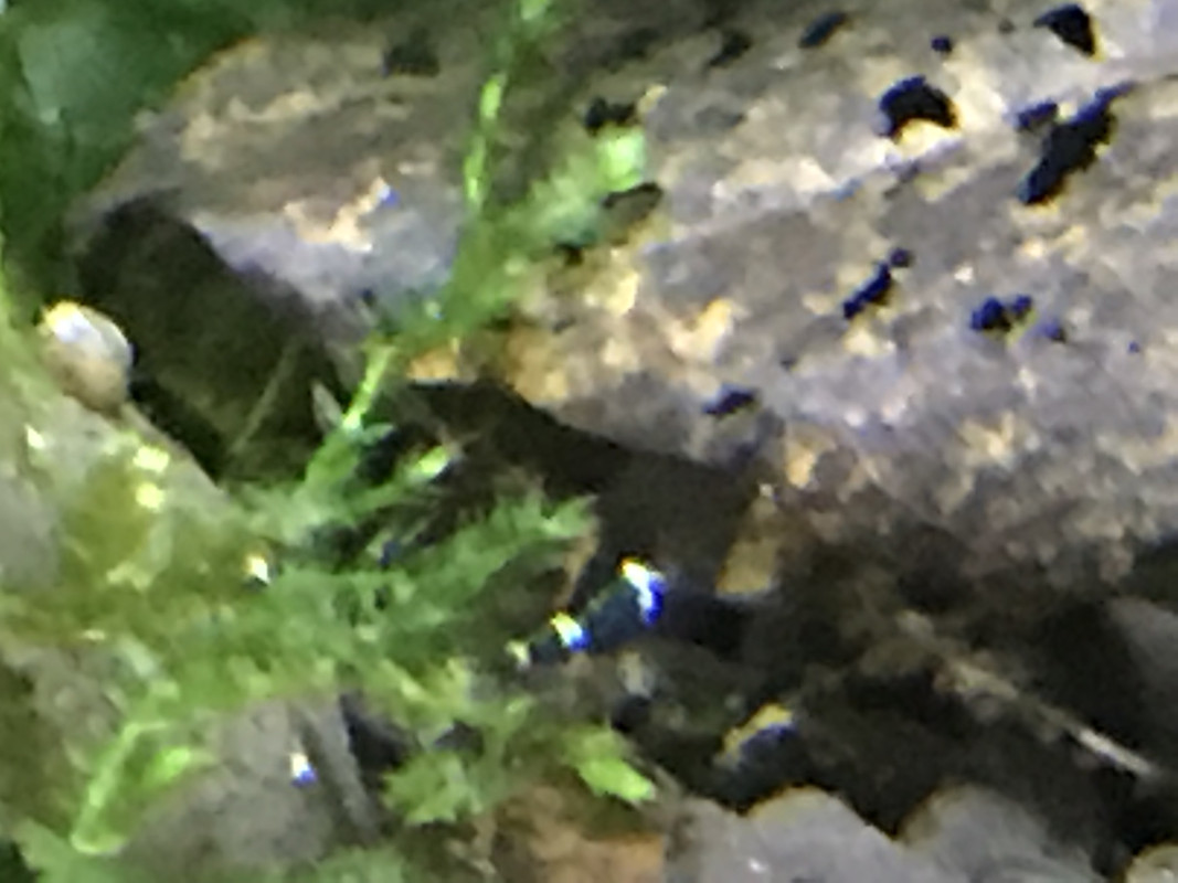 932D1AF2-6C83-4276-B72E-D3E1382D7D2F