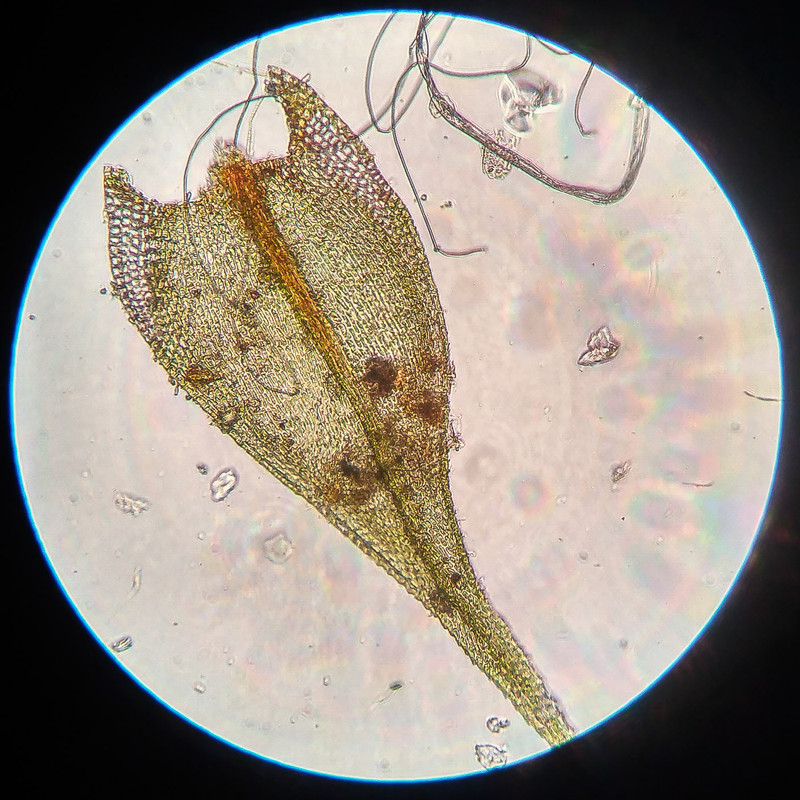 IMG 20250615 221643 HDR