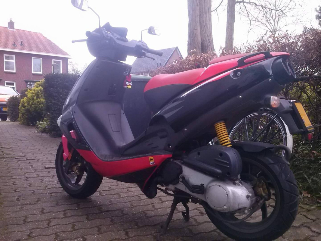 17976238_832363413579850_1231757437_o