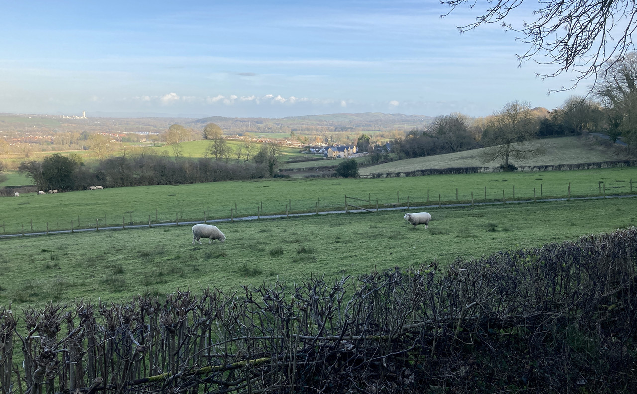 2F2E03F2-2F8B-4046-A1C4-661261A83B1B