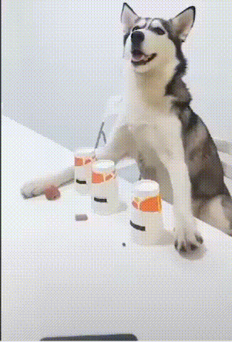 02.gif