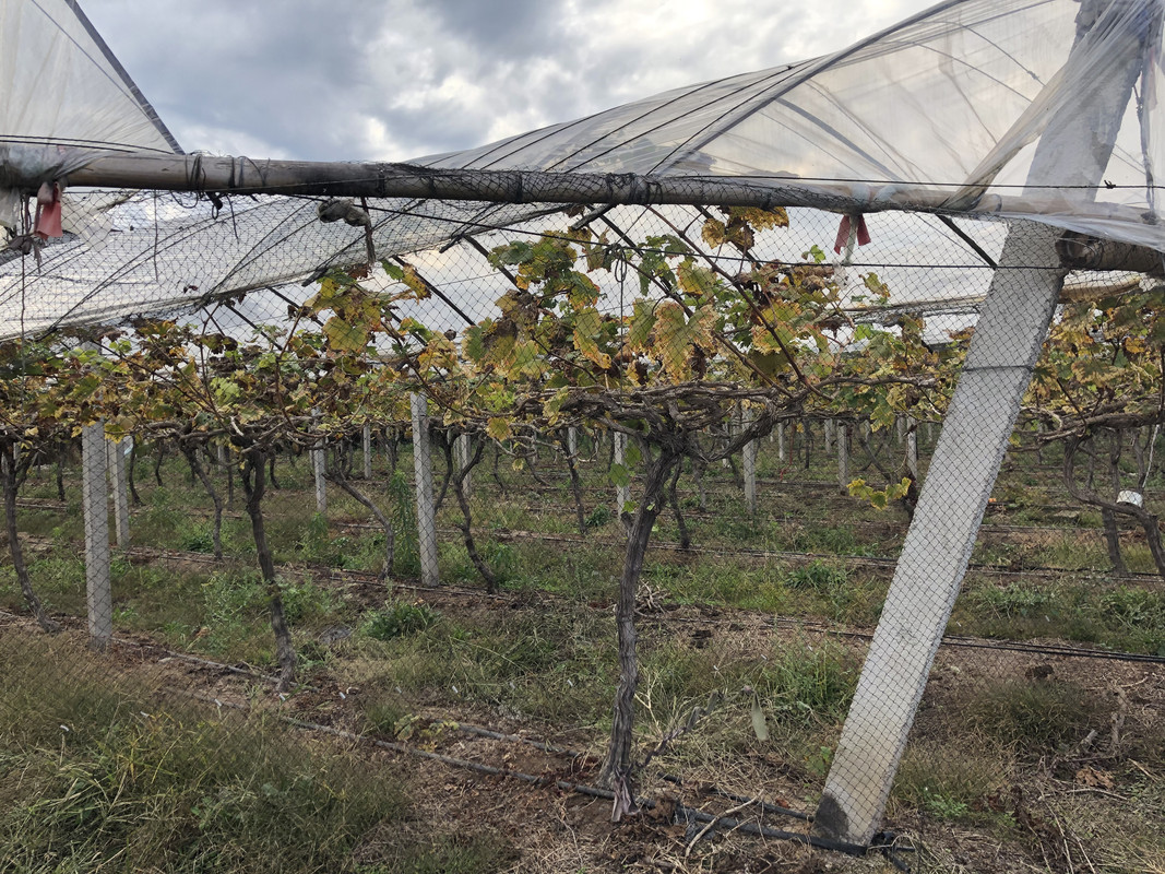 微信图片_20231228002911