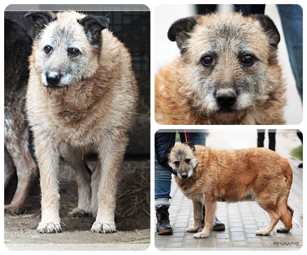 BeFunky-collage (17)