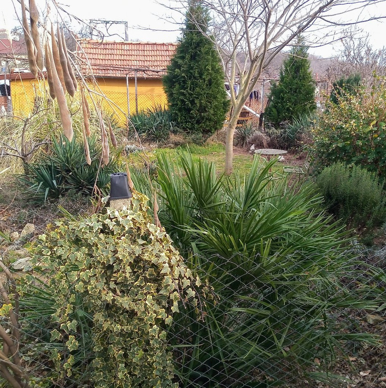 IMG_20220220_152939700~4