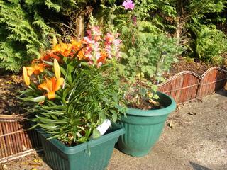 DSCF0002-jpg-original.jpg