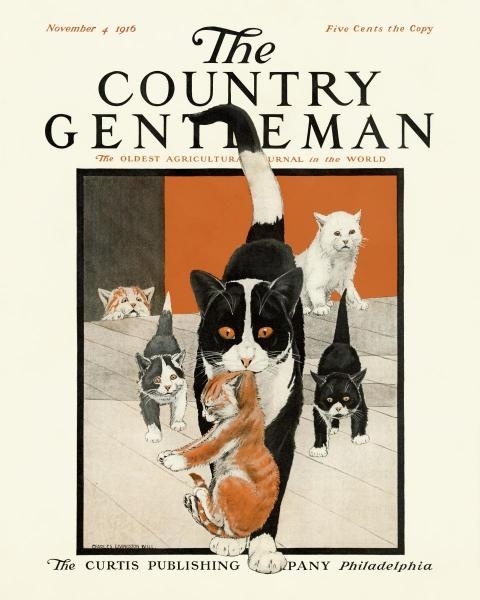 005-The-Country-Gentleman-Magazine-Cover-4-November-1916
