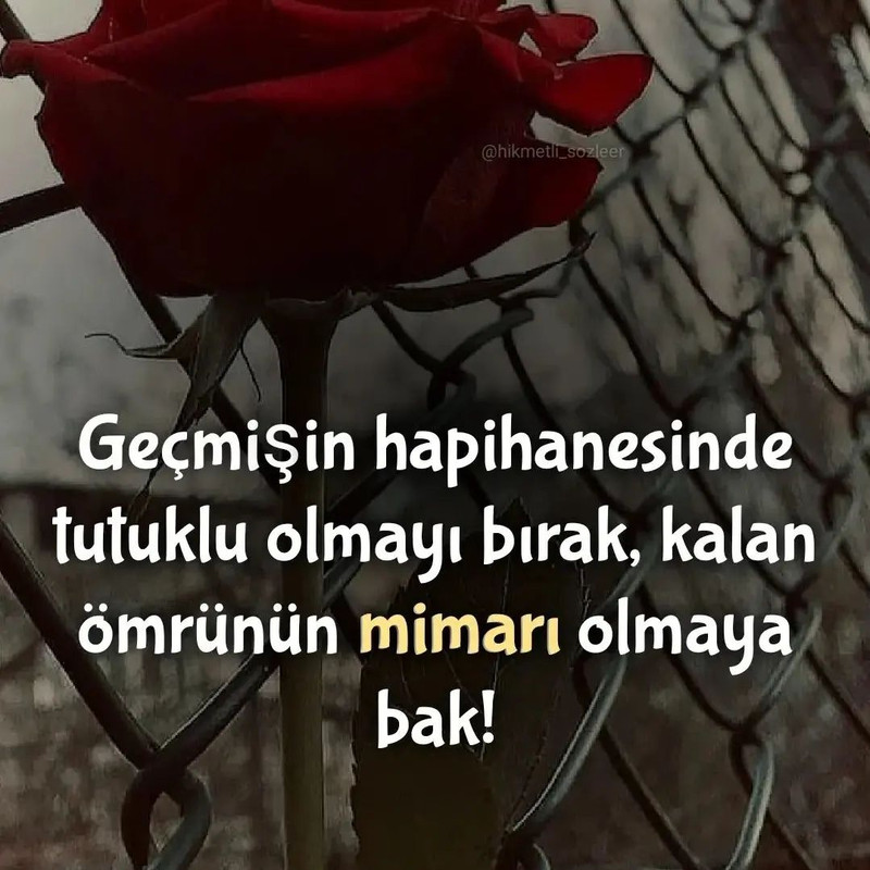 Snapinsta.app_1080_325210279_718360539797418_4987202890383916308_n