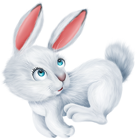 KBK_PrettyRabbit (100)