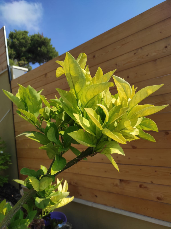 WhatsApp Image 2021-06-24 at 10.07.45 (1)