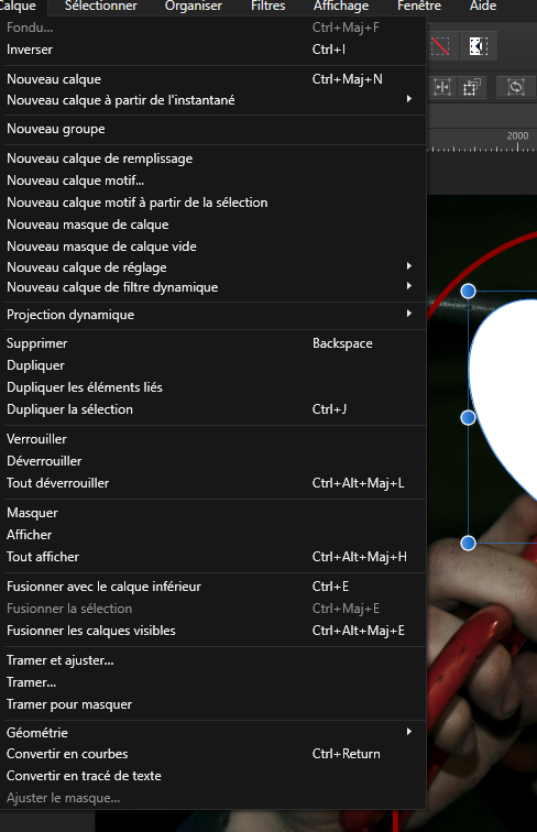 image_2021-12-16_171301