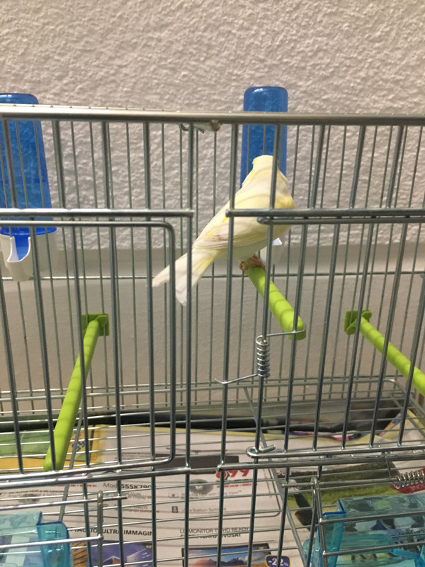 80EF8735-11ED-4CD0-A7EB-28D5524B9BCD