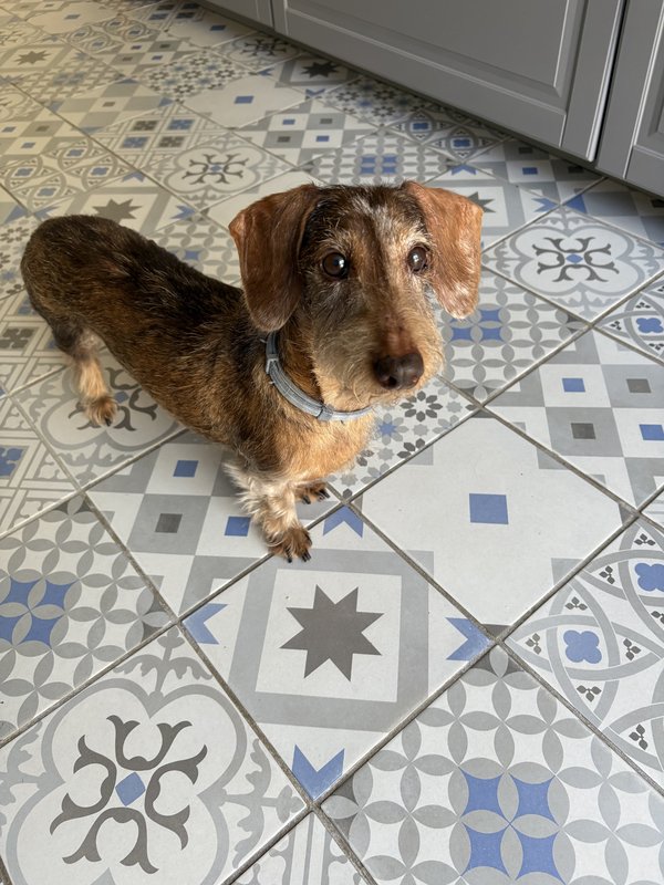 [Image: IMG-0165.jpg]