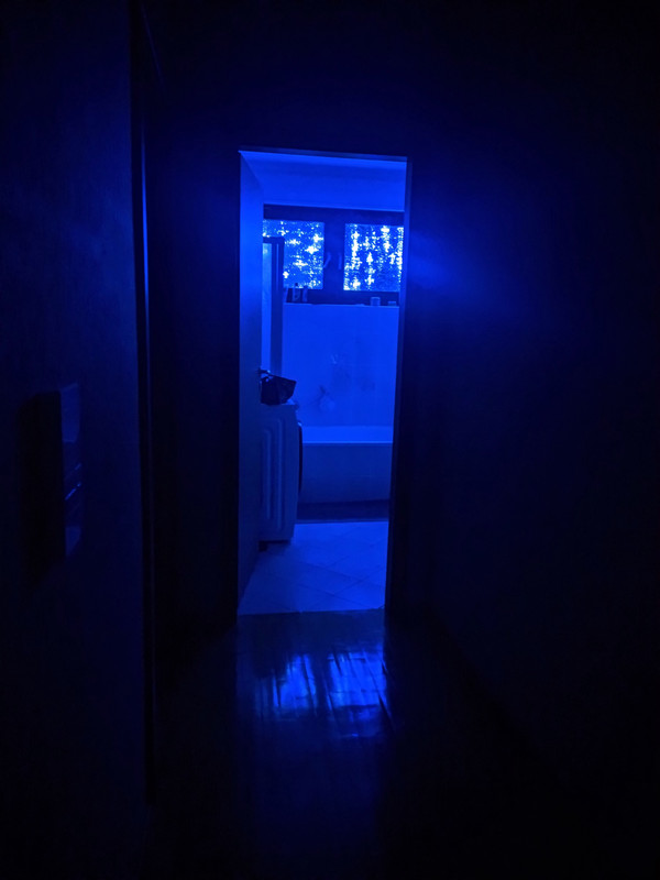 IMG_20211224_234949_tigr