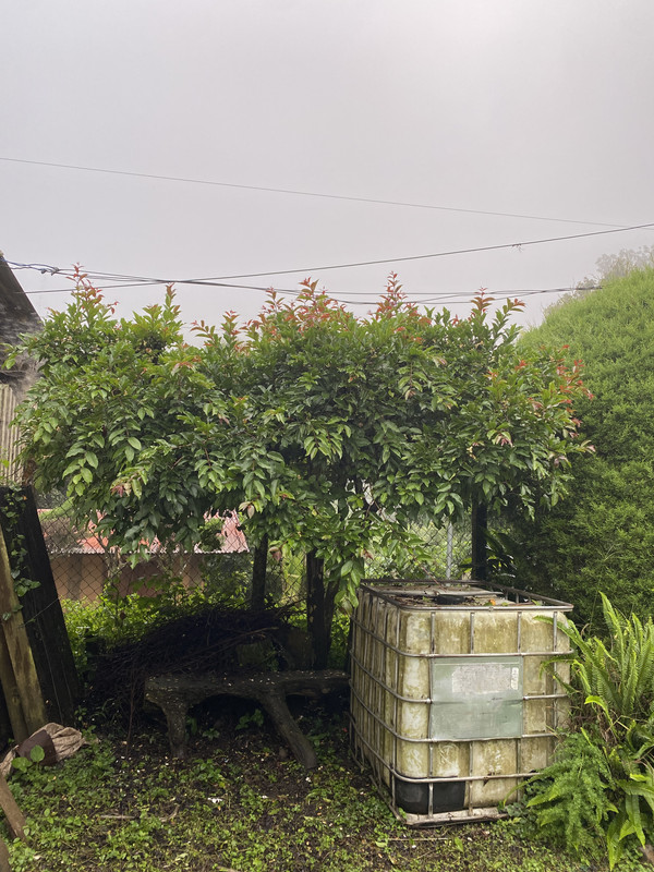 D1EA1C43-7869-477B-829A-BE373EE5FCD8