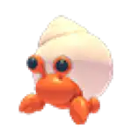 Hermit Crab