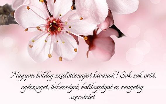 https://i.postimg.cc/gJSRvdX4/lianak-62sznapra-2021.jpg