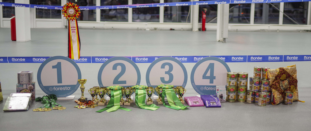 1-2 - копия - копия