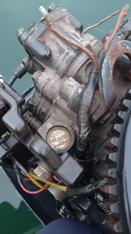 WhatsApp Image 2023-05-19 at 21.17.30(2)