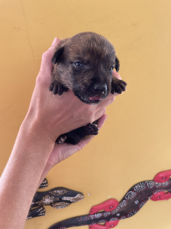 1C160674-9C67-484F-AE06-61A040F5BFA6